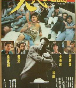 C843人民英雄 (1987) （高清修复版）豆瓣7.8