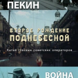 D618中国的重生(高清版)2019 评分9.2