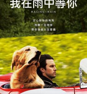 H602 BD50我在雨中等你 2019 评分7.9