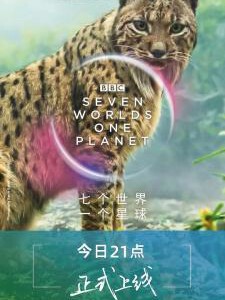 D683-685 BBC:七个世界一个星球 3碟装 2019 全景声 评分9.8
