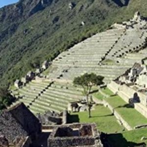 D691解密马丘比丘(2014)纪录片