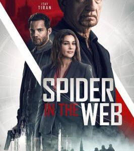 D725网中蜘蛛 Spider In The Web (2019)