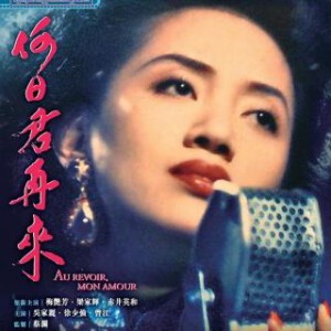 D743何日君再来 Au Revoir Mon Amour (1991) 豆瓣7.4