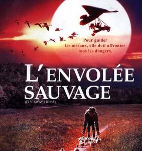 D744伴你高飞 Fly Away Home (1996) 豆瓣评分8.9