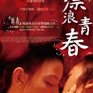 D748漂浪青春 (2008)评分7.5