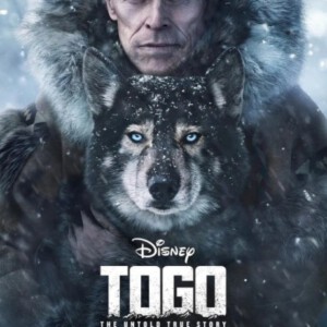 D763多哥（高清版） Togo（2019）评分8.8