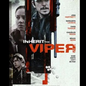 D814继任蝰蛇（高清版） Inherit the Viper (2019)