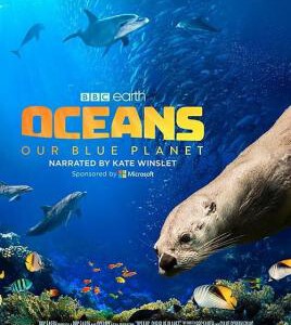 D823海洋：我们的蓝色星球 Oceans: Our Blue Planet (2018)评分8.5