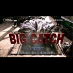 E669绽放真台湾5：鱼之岛 HDTV高清版 不兼容PS3/4