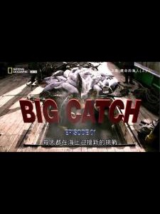 E669绽放真台湾5：鱼之岛 HDTV高清版 不兼容PS3/4