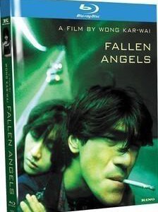 D832堕落天使 (1995) 导演: 王家卫