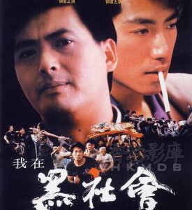 D872我在黑社会的日子 1989 评分6.5