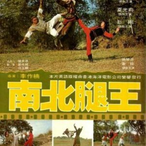 D883南北腿王 1980 评分6.9 功夫片极品佳作