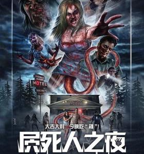 E801屄死人之夜/奇怪的夜晚 2015 评分5.2