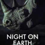 U582-583地球的夜晚 2碟装 Night on Earth (2020) 评分9.4分