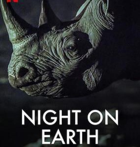 U582-583地球的夜晚 2碟装 Night on Earth (2020) 评分9.4分