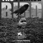 B885被涂污的鸟 2019 评分8.0The Painted Bird (2019)