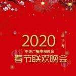 B890 2020春节联欢晚会  高清版，不支持PS3 PS4