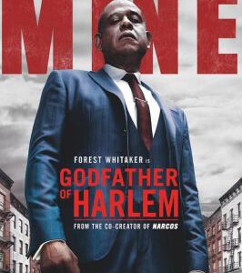 C888-890哈林教父 3碟装 2019 评分8.4 高清版 The Godfather of Harlem(2019)