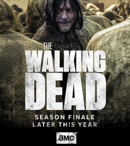 Q882-884行尸走肉(第10季)3碟装 豆瓣评分 7.7