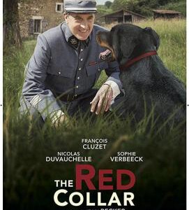 F661红项圈 Le collier rouge (2018)