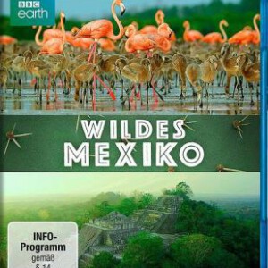 H688 BD50墨西哥：地球生命的狂欢 BBC纪录片 2017 评分8.5