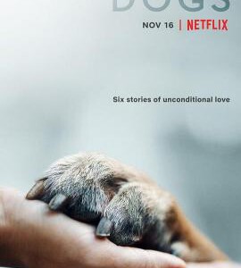 F791爱犬情深/挚狗伴我行 第一季 Dogs Season 1(2018) 豆瓣9.0 高清版 不支持PS