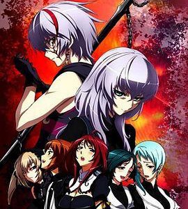 F843-844圣痕炼金士 2碟 1+2+OAD (2011) 豆瓣6.1 高清版，不兼容PS