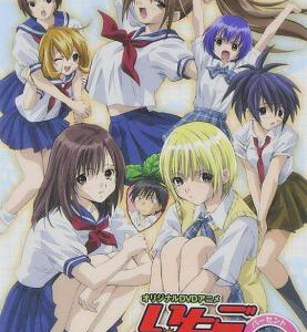 F848草莓百分百OVA/草莓100% TV版+OVA全集 高清版 (2005) 豆瓣6.8 高清版，不兼容PS