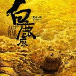 E863白鹿原 White Deer Plain (2012) 豆瓣6.4 高清版