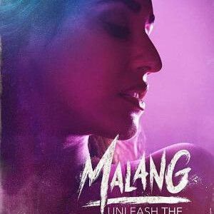 J618疯狂流浪者/马郎 Malang (2020) 评分7.2