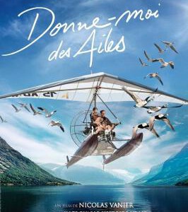 J623迷雁返家路/给我翅膀 2019 评分8.6