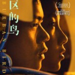 J726郊区的鸟 2018 评分6.4