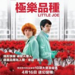 J738小魔花/小小乔 2019 评分6.3 Little Joe (2019)