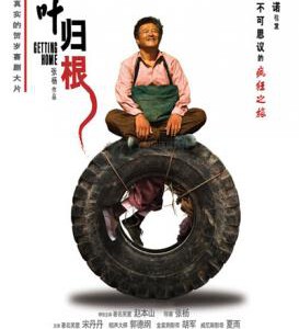 J764落叶归根(2007)评分7.8