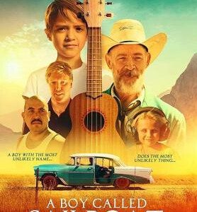 J802一个叫小小船的男孩/以帆船为名的少年 A Boy Called Sailboat(2018) 豆瓣7.9