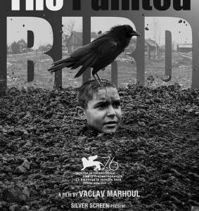 H711 BD50被涂污的鸟 2019 评分8.1