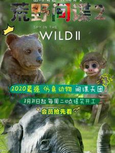 H715-716 BD50荒野间谍 第二季 2020 评分9.5 2碟装