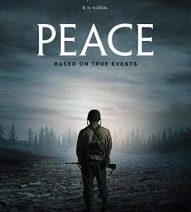 L816和平 2019 最新二战题材战争新片