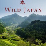 L823狂野日本（高清版） 2015 BBC经典记录狂野系列 评分9.1