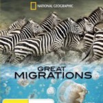 L854-855大迁徙 2碟装 （高清版）2010国家地理倾力打造，豆瓣评分9.4