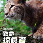 M632致命掠食者（高清版）CARPATHIAN PREDATORS (2020)