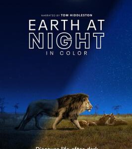 M637-638夜色中的地球(高清版)2碟装 Apple原创记录大片