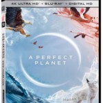 A12-58-59 4K-UHD BBC 完美星球 2碟装 A Perfect Planet (2021) 豆瓣9.7分 全景声 HDR10
