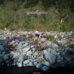 N637开始/寂静之死（高清版） Dasatskisi (2020)