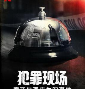 N688-689犯罪现场：赛西尔酒店失踪事件 2碟装 高清版