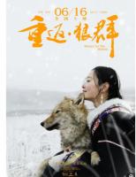 N772重返·狼群（高清版） (2017)豆瓣评分8.4分国产纪录片佳作