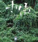 N774小伟 （高清版）豆瓣评分7.9分国产家庭剧情佳作