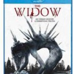 H827 BD50 诡巫 2020 50G