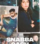 P615不义之财 2碟 (双碟装)（高清版） 2021年网飞出品最新瑞典犯罪剧情片